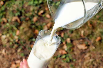 Potravinová alergie na mléko je způsobena imunitní reakcí organismu na přítomnost určitých specifických bílkovin v kravském mléce