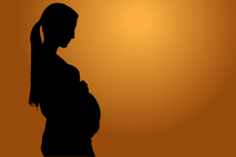 Během těhotenství, nesmí těhotná žena dostat výpověď. Zakazuje to zákoník práce (paragraf 53). Pokud žena dostala výpověď ještě před začátkem těhotenství, pak se výpovědní doba, na dobu těhotenství, mateřské a rodičovské dovolené, zastaví.